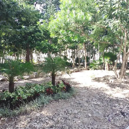 La casa del Cactus Villa
